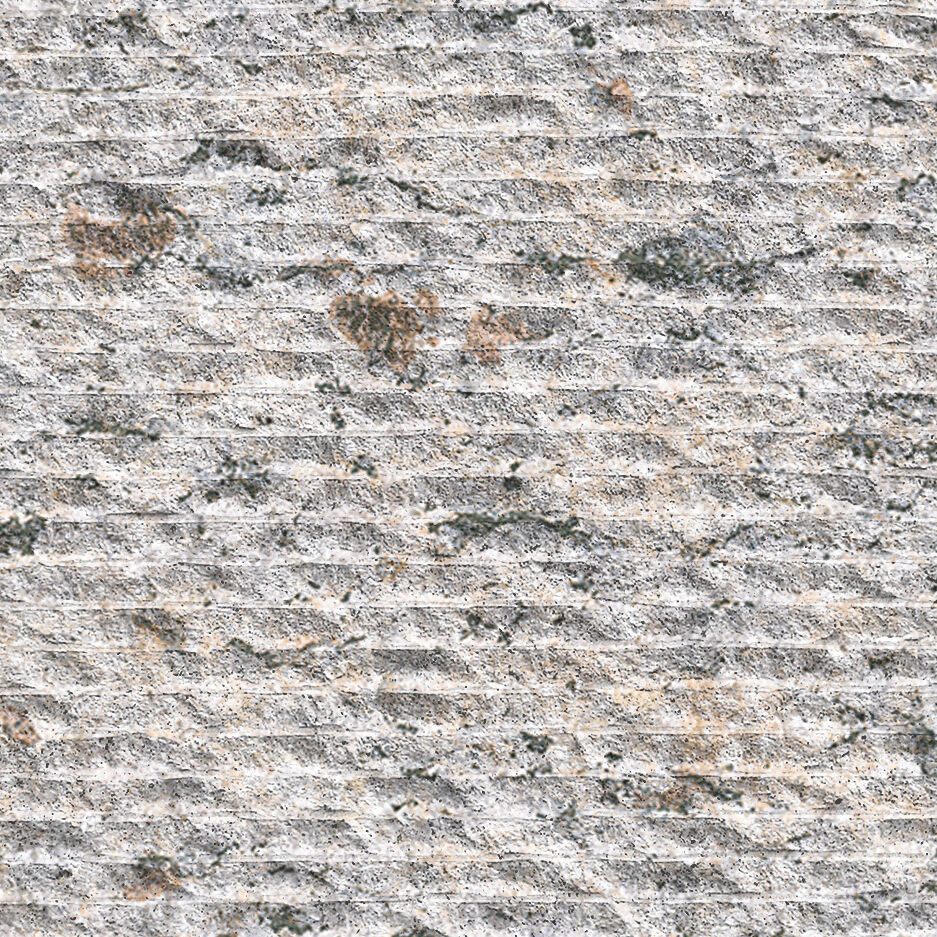 မွန်တီဘယ်လို မီးခိုးရောင် (အနားမှုန်းထားသော မျက်နှာပုံ)