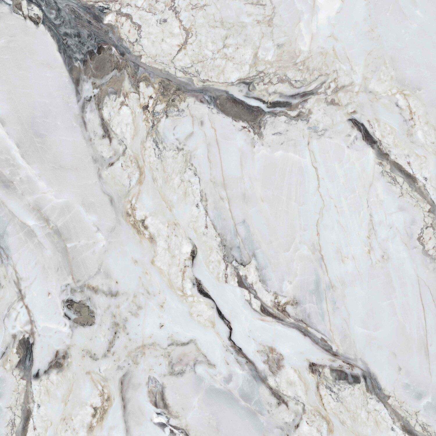 GF-GY121212-461