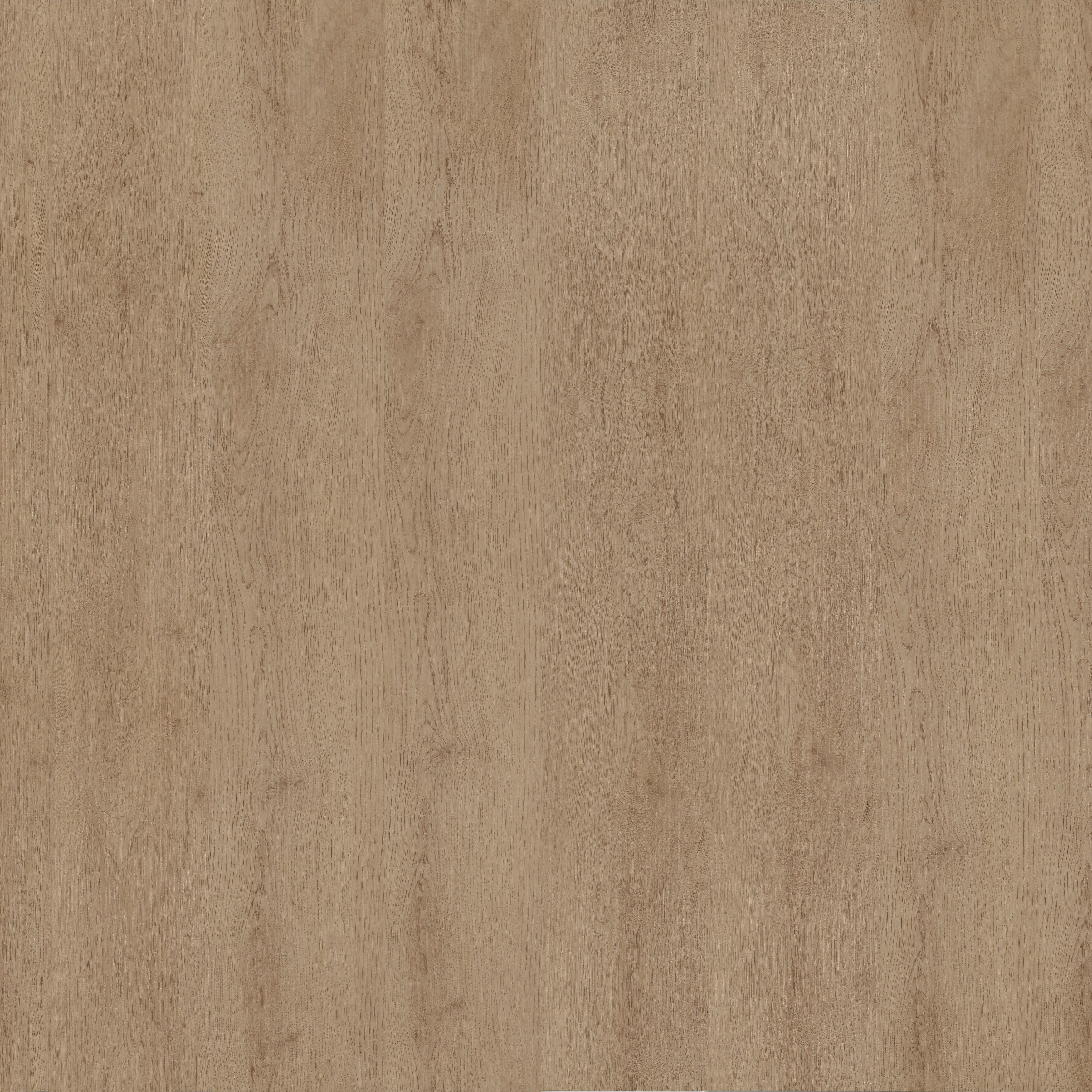 တောင်းသစ်တော စည်းချက်နှင့် မနက်ခင်းနေလုံး၏ အလင်း