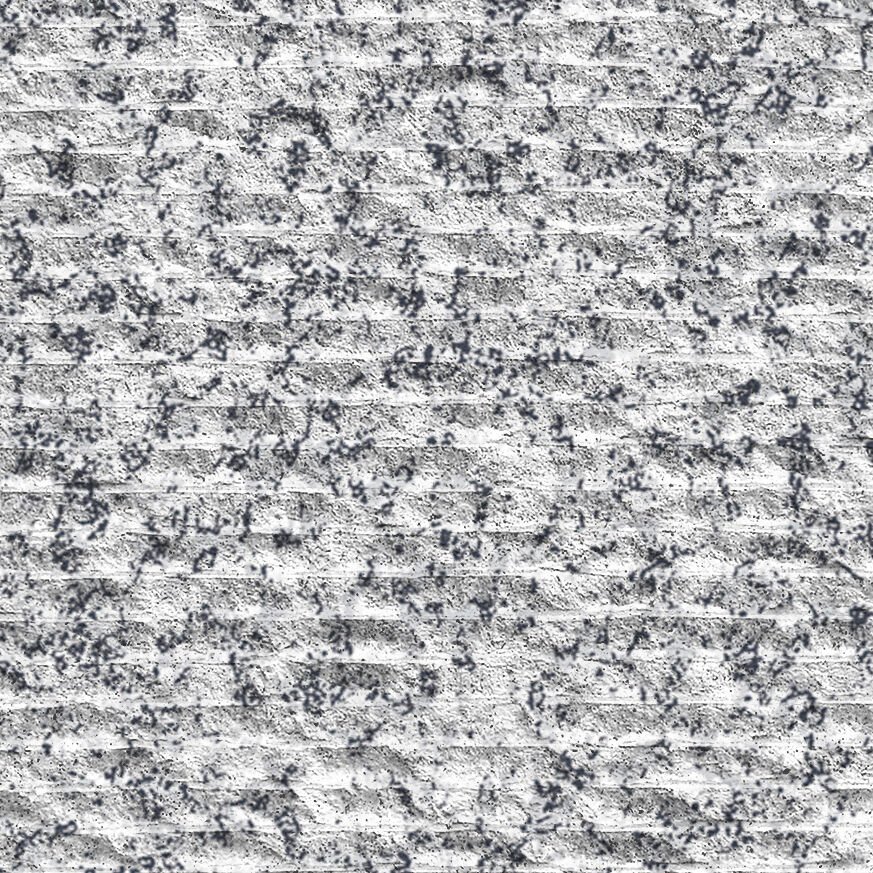 စပိန် အဖြူရောင် အပ်ရီကော့ (စပလစ်ဖေ့စ်)