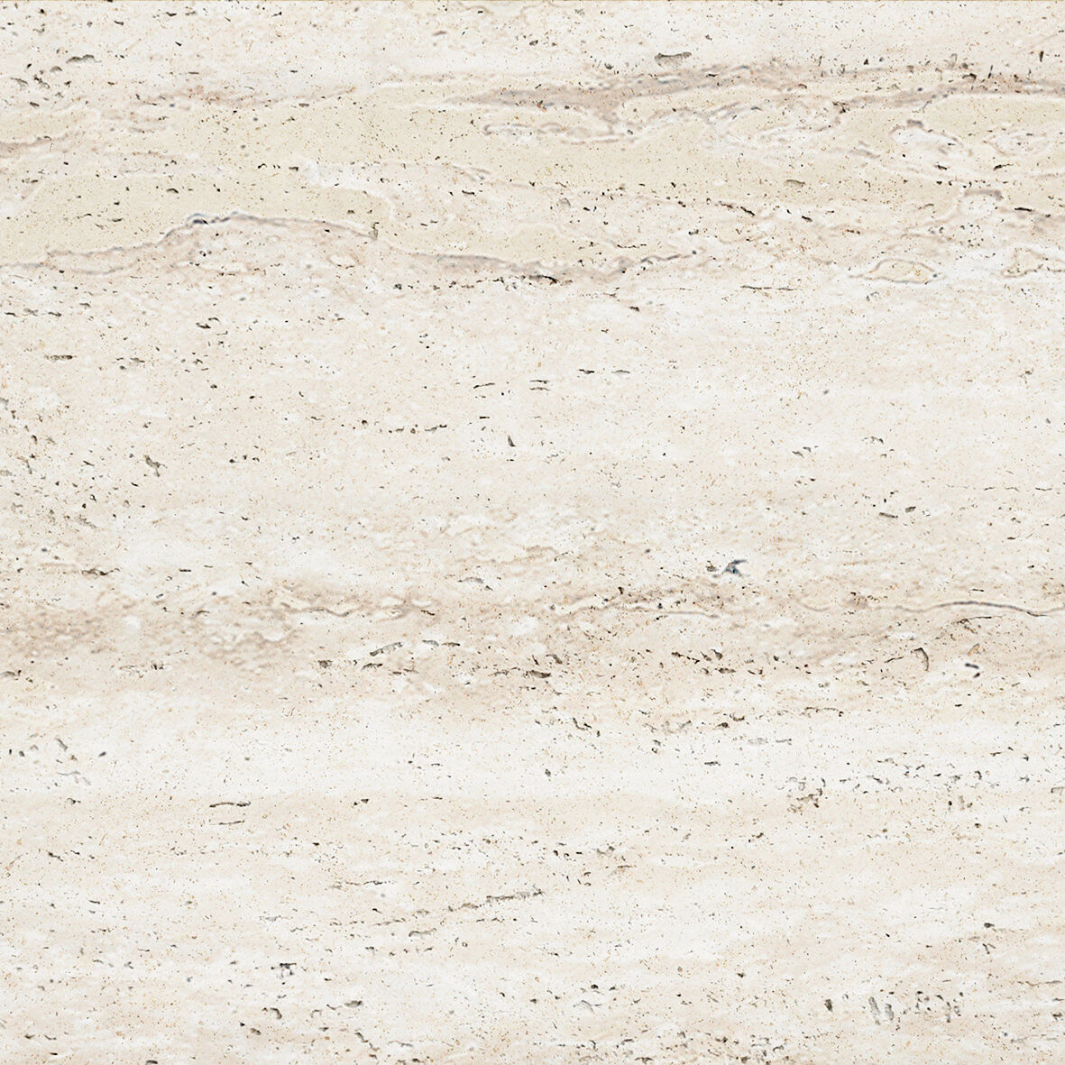 အီတလီ အရိုးဖြူ ထရေဗာတိုင်းန်