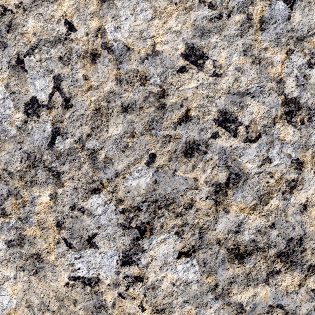 Spanish Grey Apricot (Matte Face)