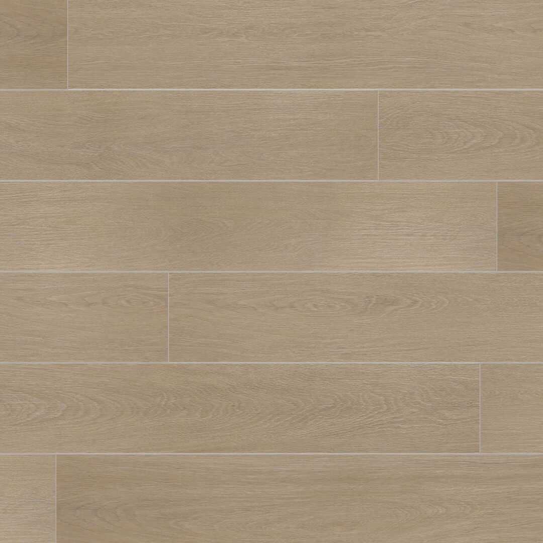 မက်ဂနီဖိစန် ဂိုလ်ဒ် လီဖ်