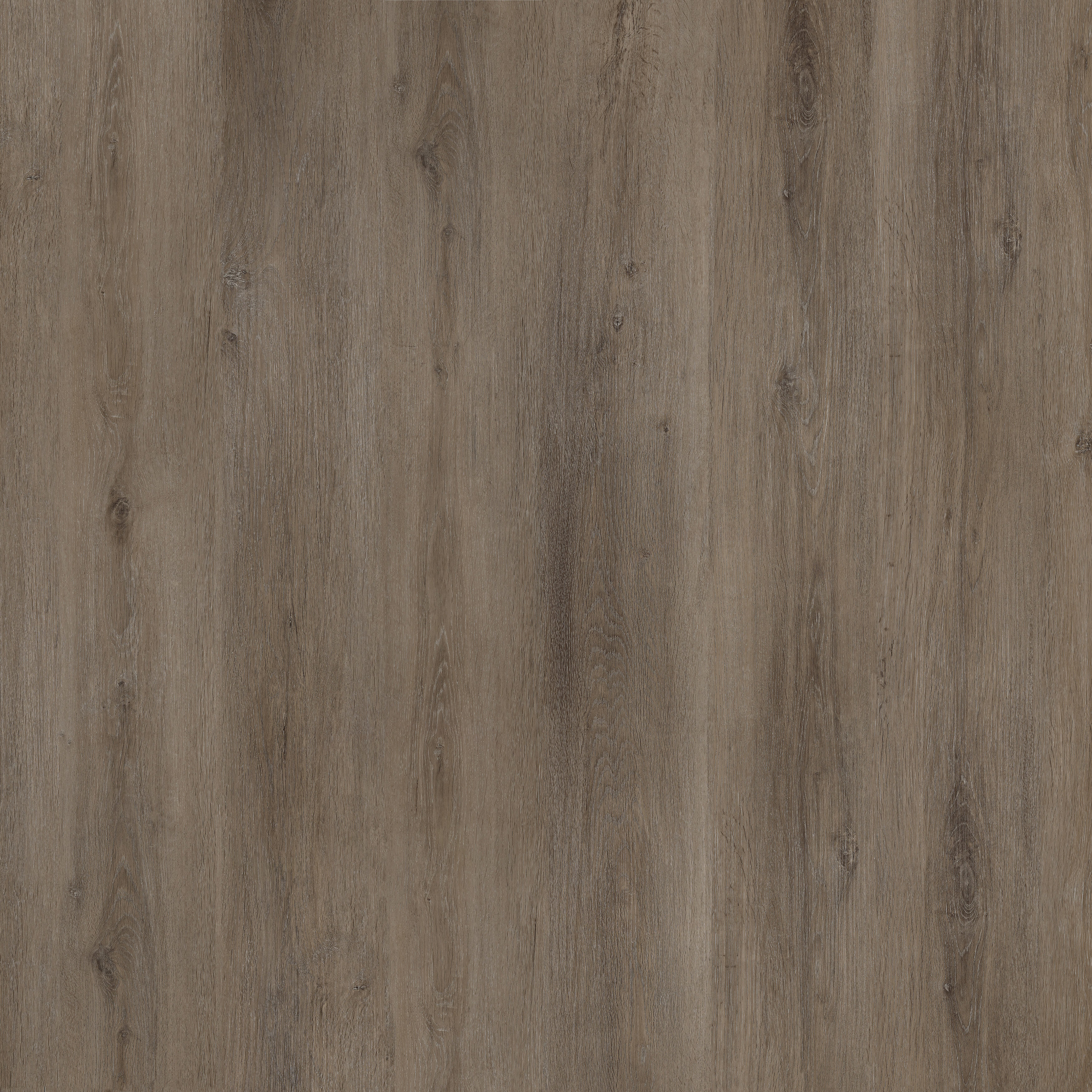 ရပ်စတစ် ဗင်တေးဂ်