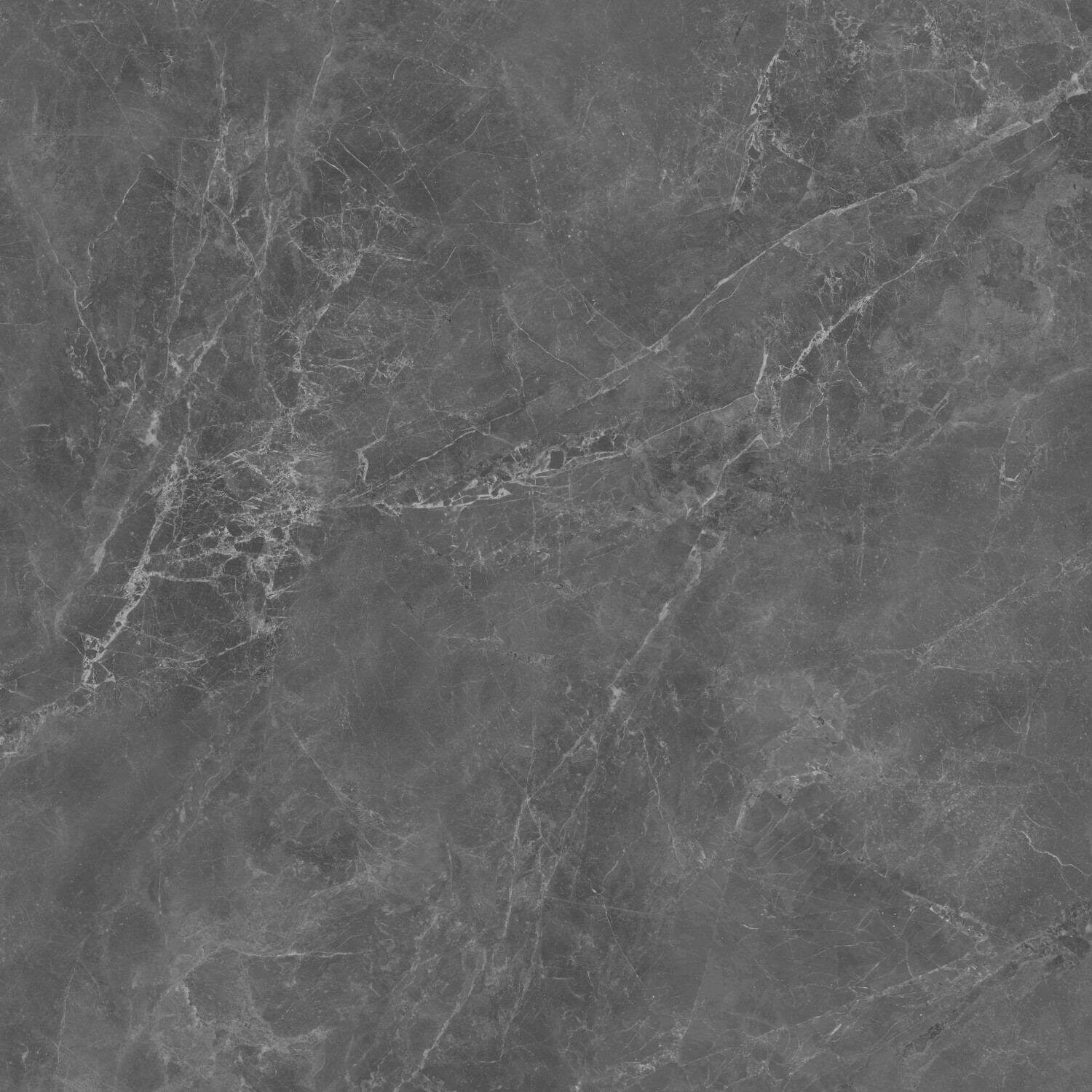 GF-L241209-219