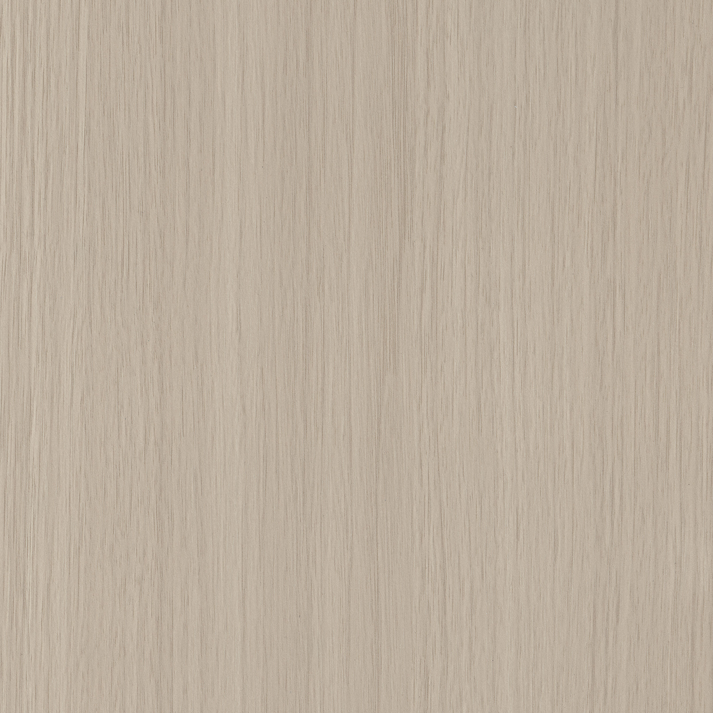 စိန် မွန်နင်း လိုက်