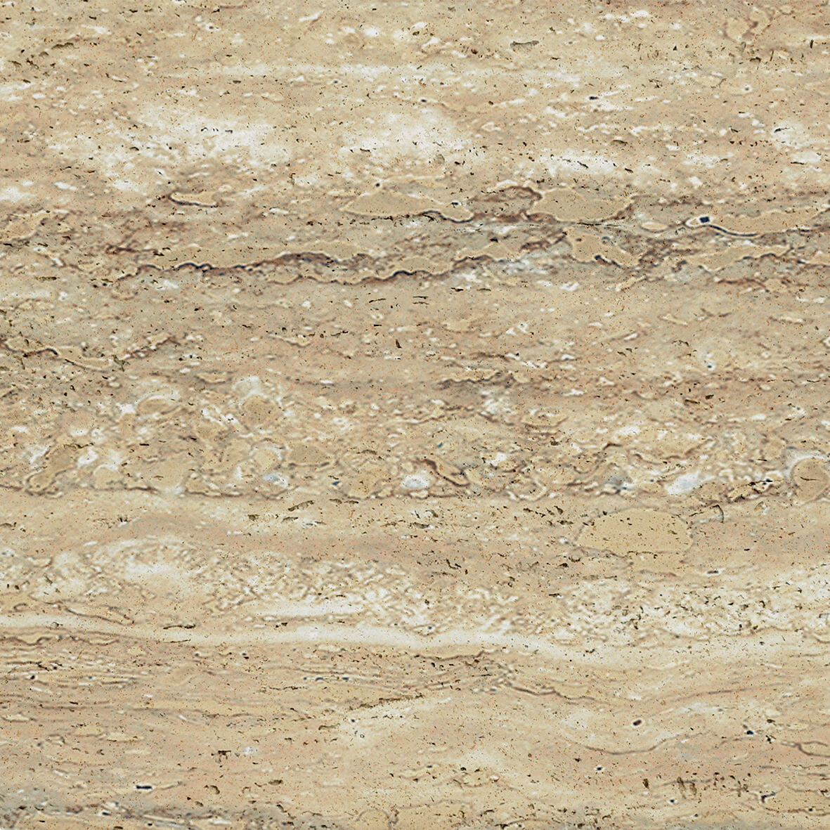 အီတလီ အရိုးဝါ ထရေဗာတိုင်းန်