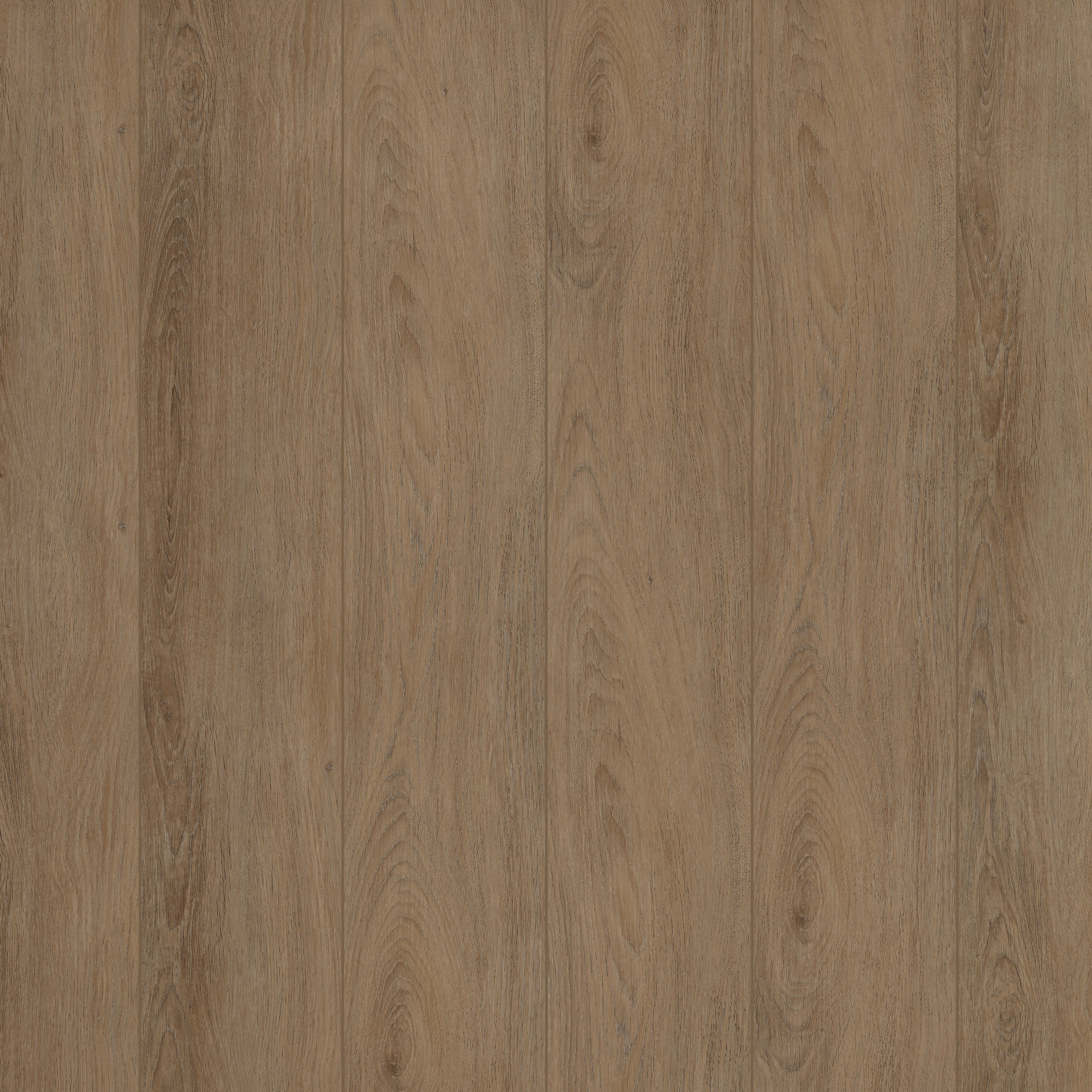 အညိုရောင် ရှုချီဖွယ်ရာ ရေကန်တောင်းသစ်တော