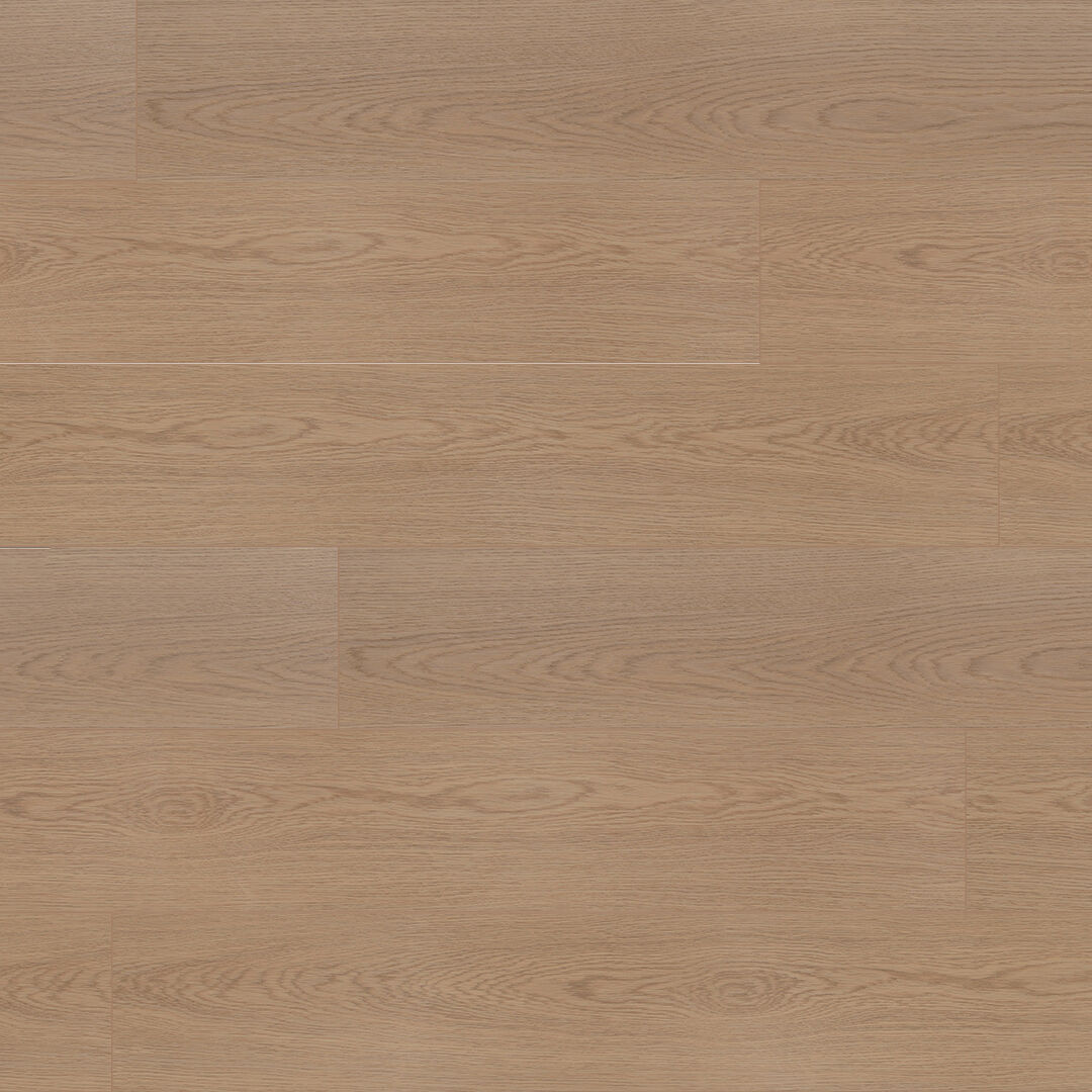 ရိတ်ခ် မော်နင်းလိုက်