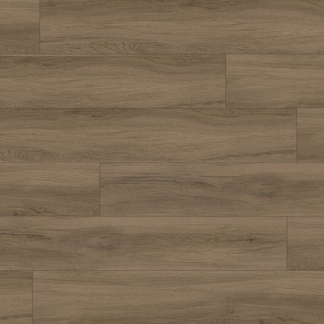 ဘရောက် ဘရောင်