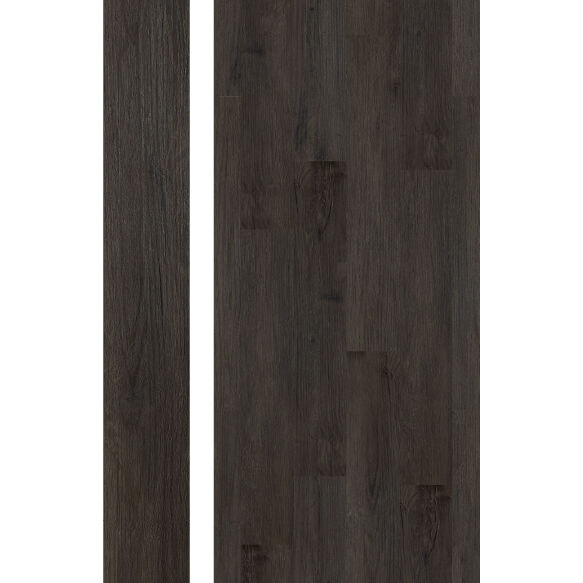 အော်ဘီဒီယန် လ ပုံစံ