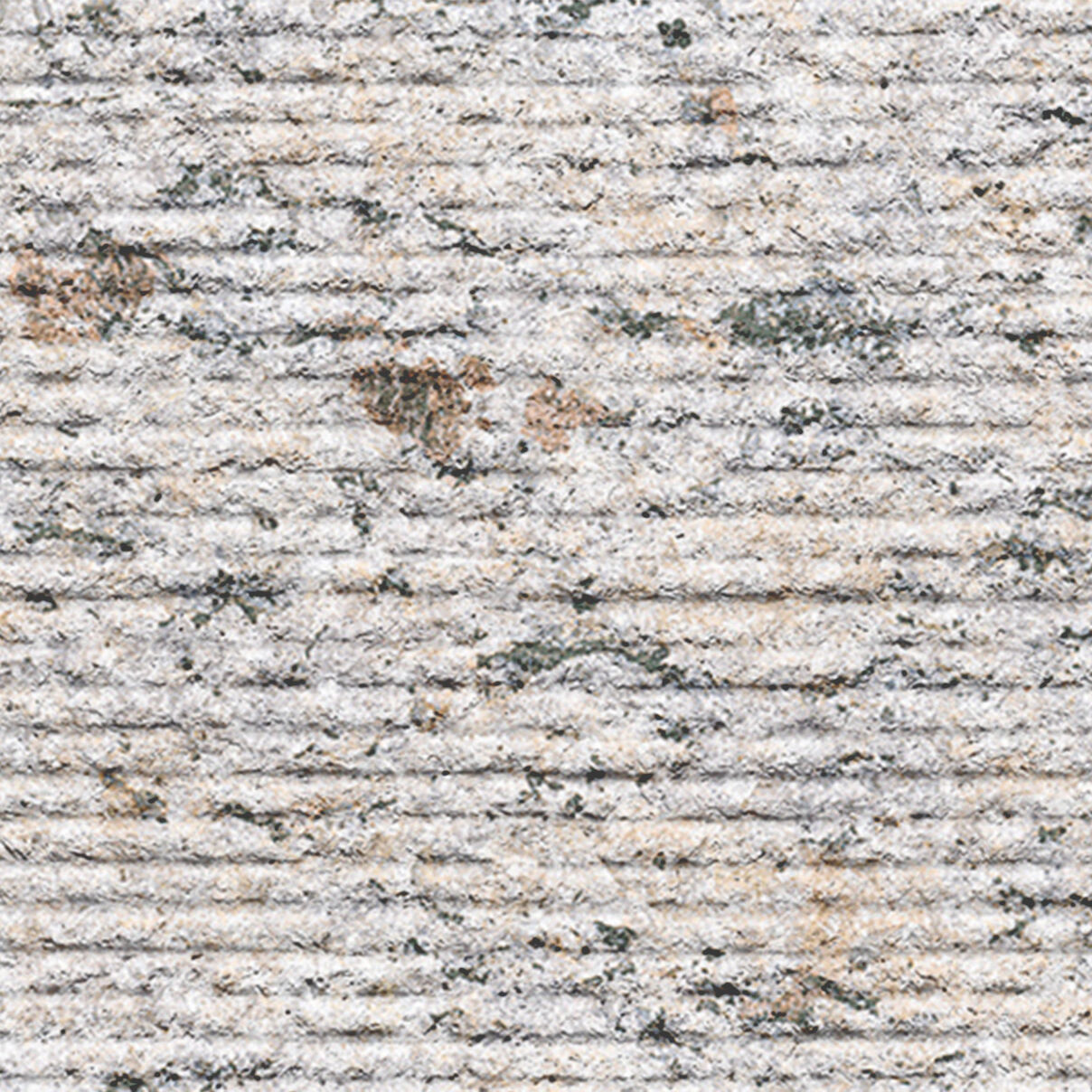 Indian Kashmir White (Ribbed Face)