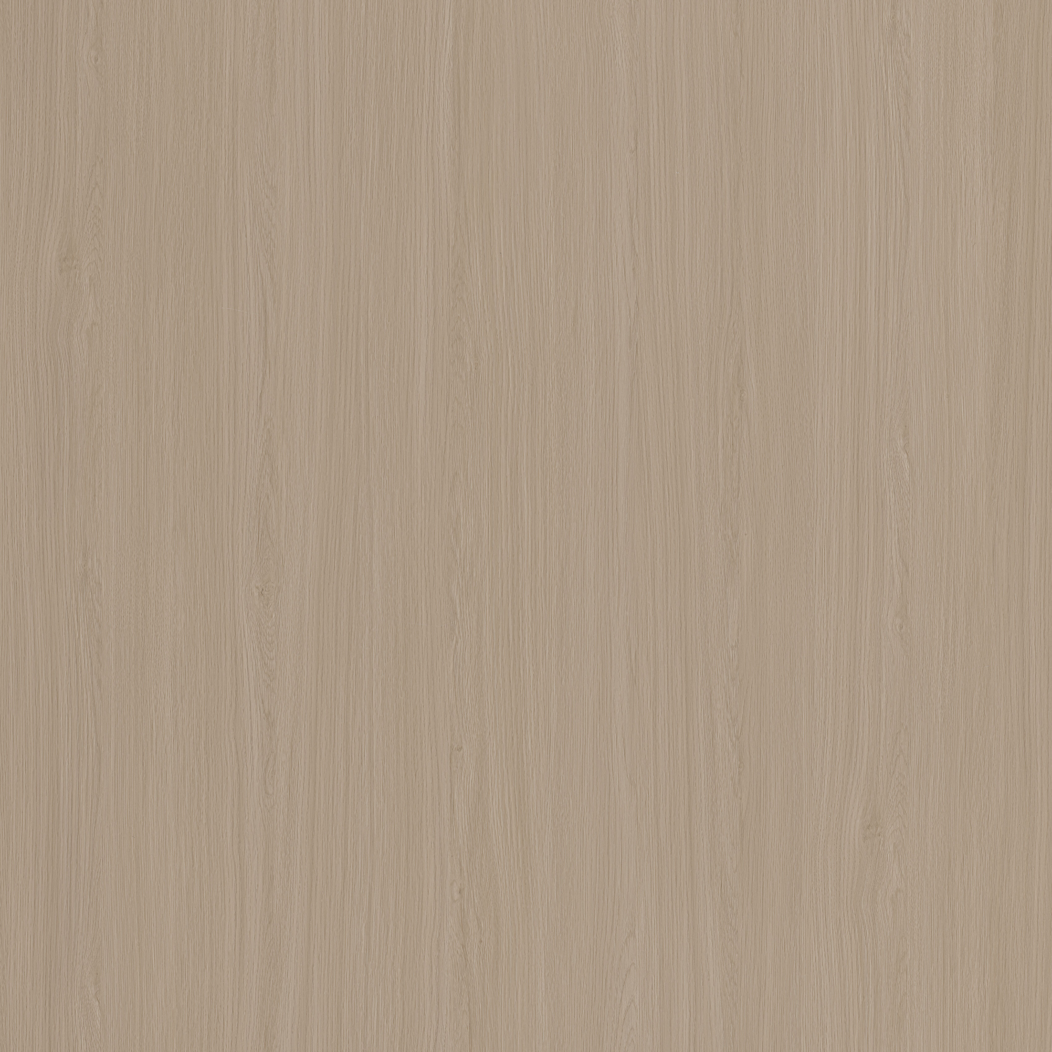 စိန် ဝဲလ်နတ်