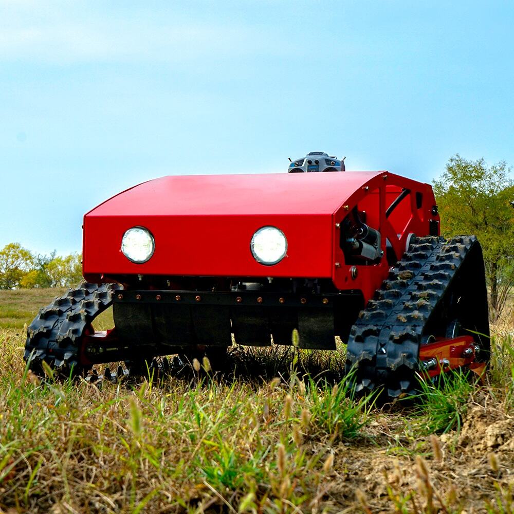 How to Select the Right Lawn Mower A Comprehensive Guide (1)