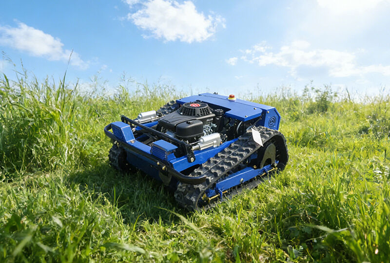 RC式およびクローラ式芝刈り機：ガソリン駆動、多機能ソリューション