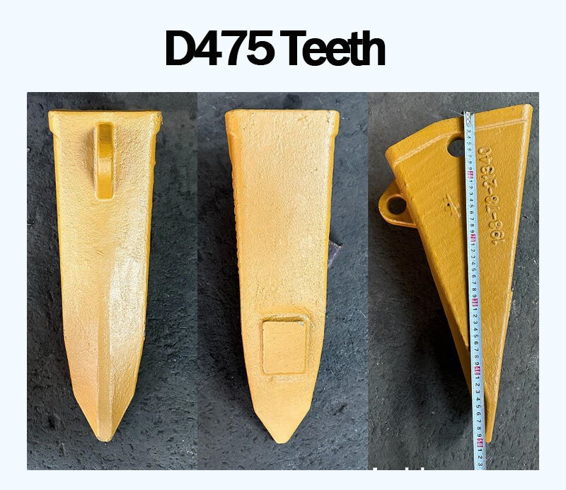 D475 Teeth.jpg