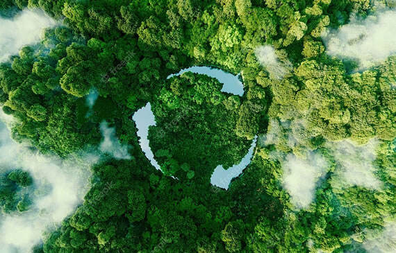  Sustainability and Environmental