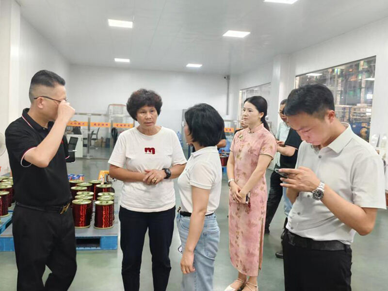 የዋንሊ ቡድን ከ delegation ጋር የሄደበት እና ምርምር ለማድረግ የሃዌርዳ ካብሌ ቡድን መጡ