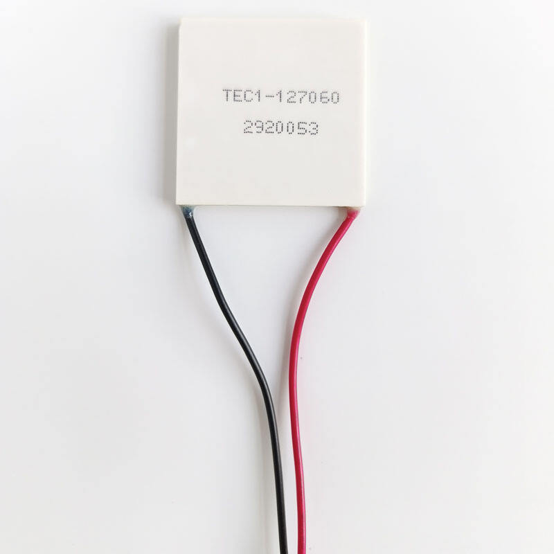 Modul Termoelektrik Peltier TEC1-127060 40X40