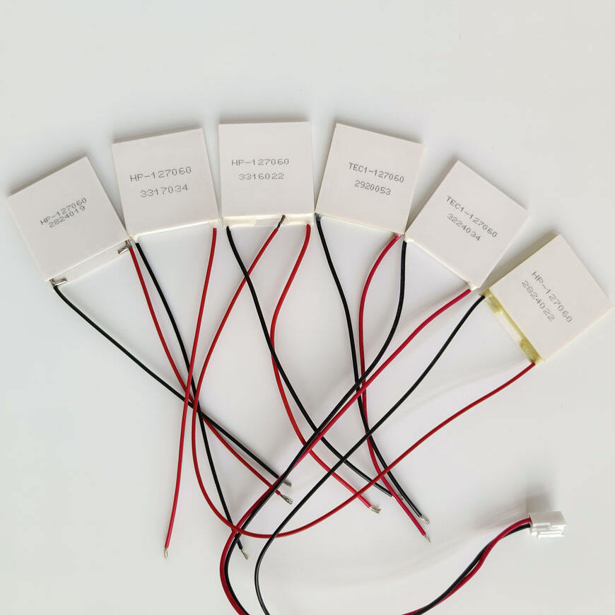 Thermoelectric Peltier Module  TEC1-127060 40X40