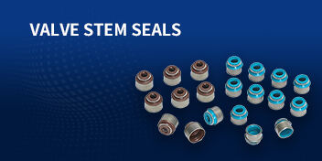 VALVE STEM SEALS