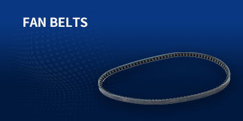 FAN BELTS