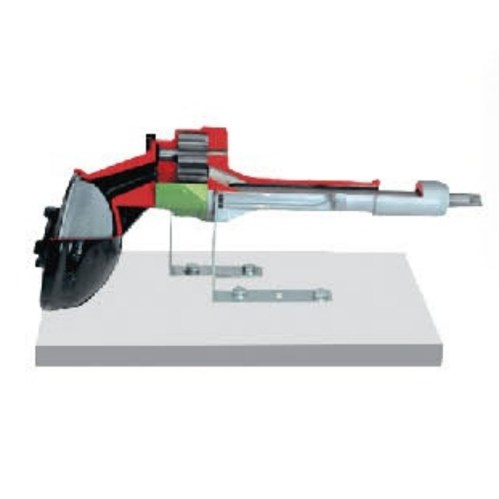 Modelo anatômico da bomba de engrenagens