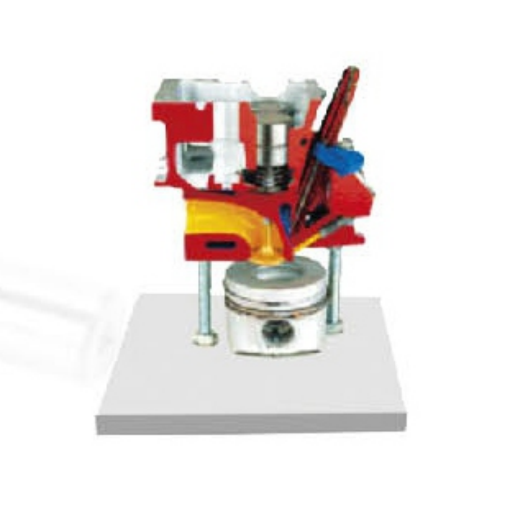Four-valve direct injection diesel engine cylinder head anatomical model