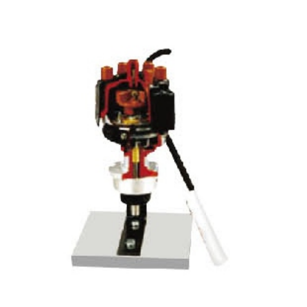 Modelo anatômico de distribuidor magnetoelétrico