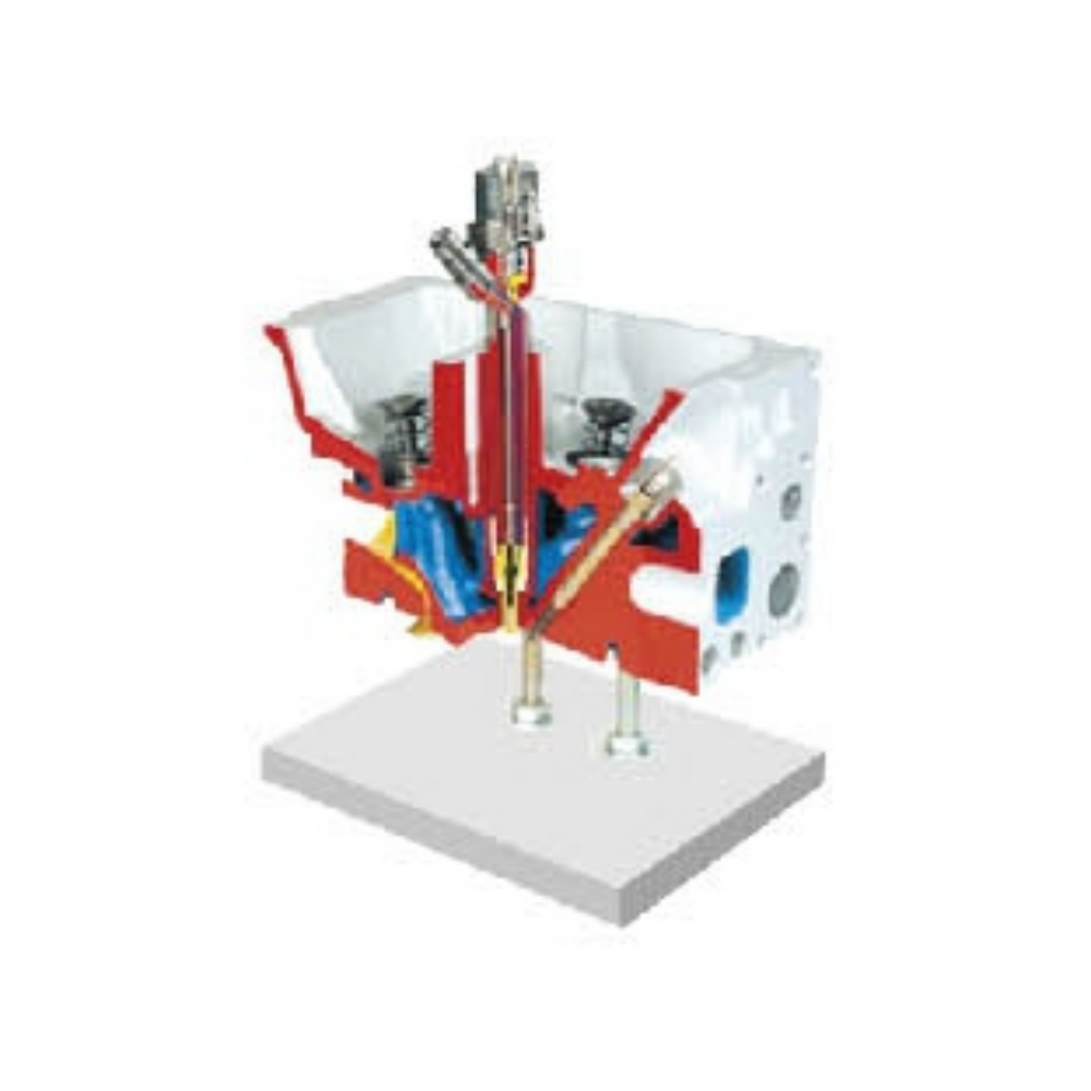 Direct injection engine cylinder head anatomical model