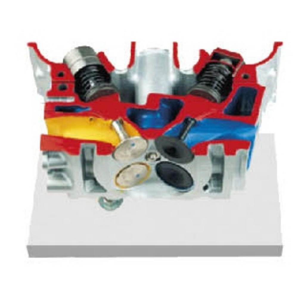 Cylinder head anatomical model - 4-valve engine