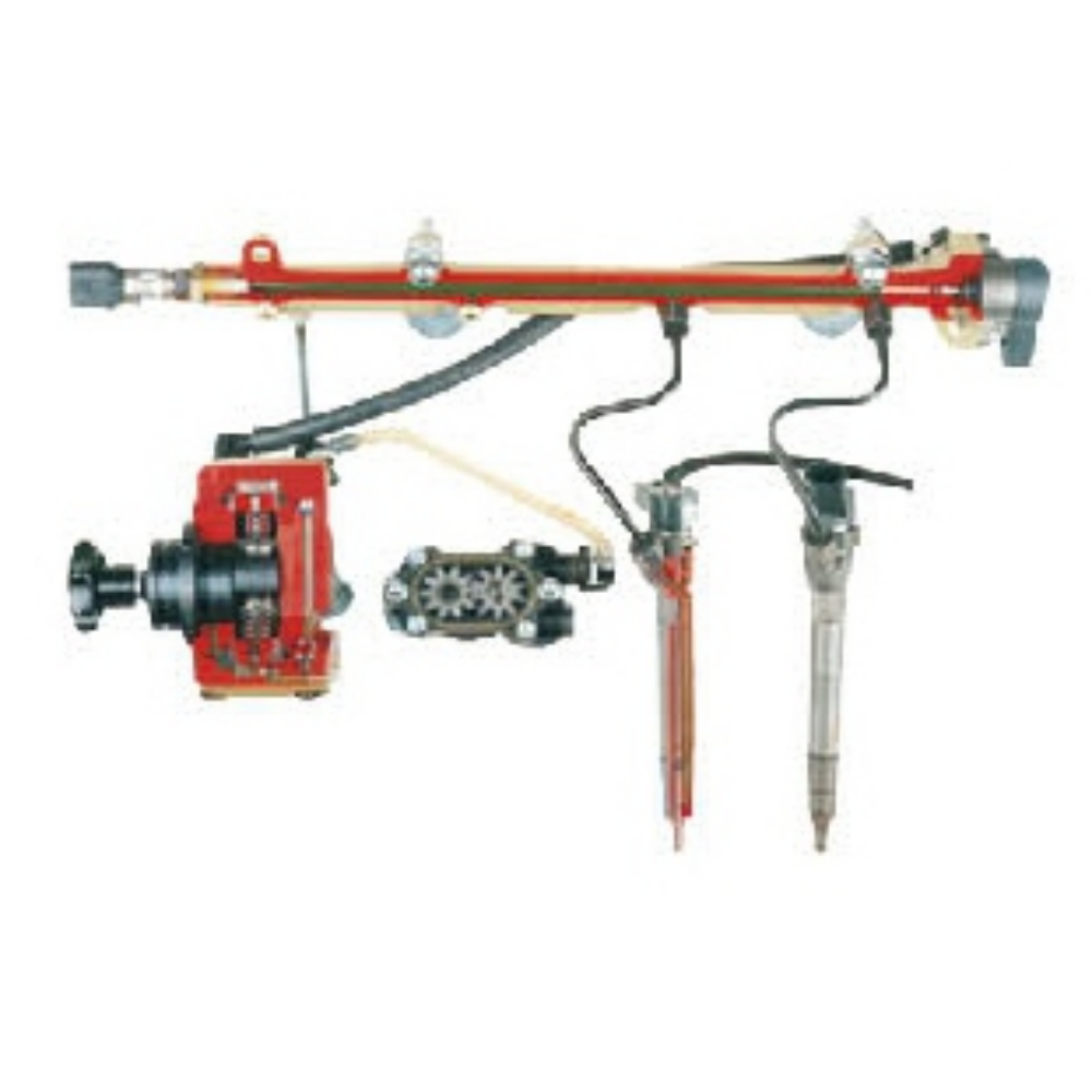 Modelo anatômico do sistema de injeção common rail