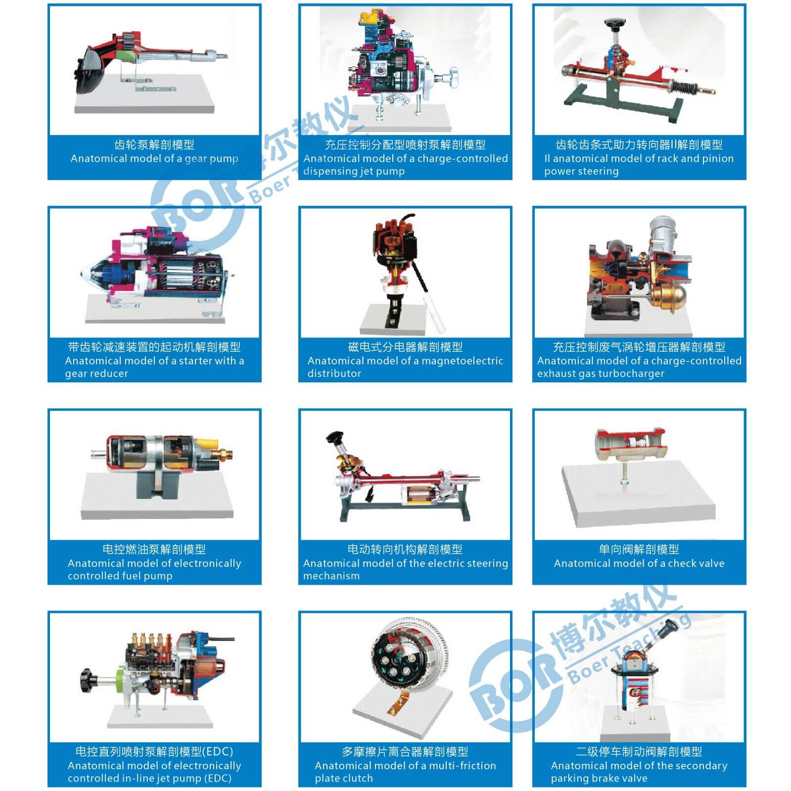 Anatomical part model