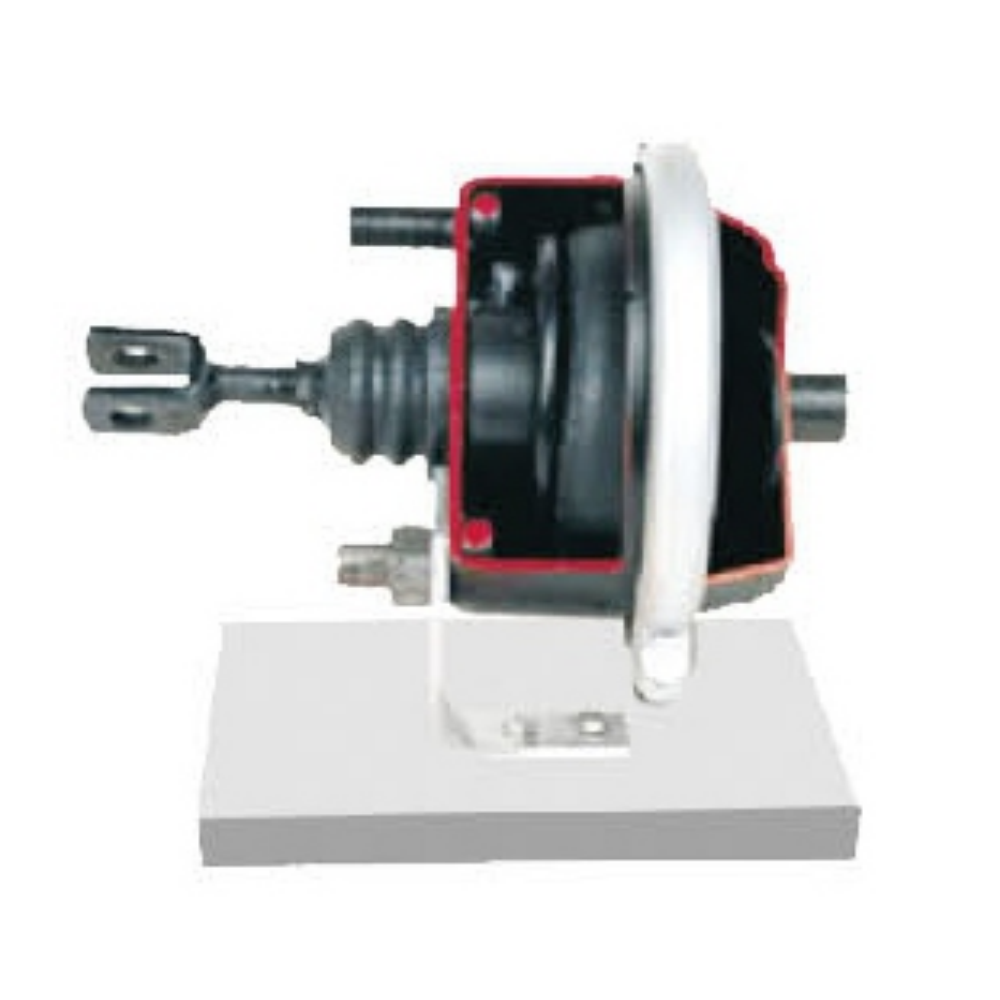 Modelo Anatômico de Cilindro de Freio de Diafragma