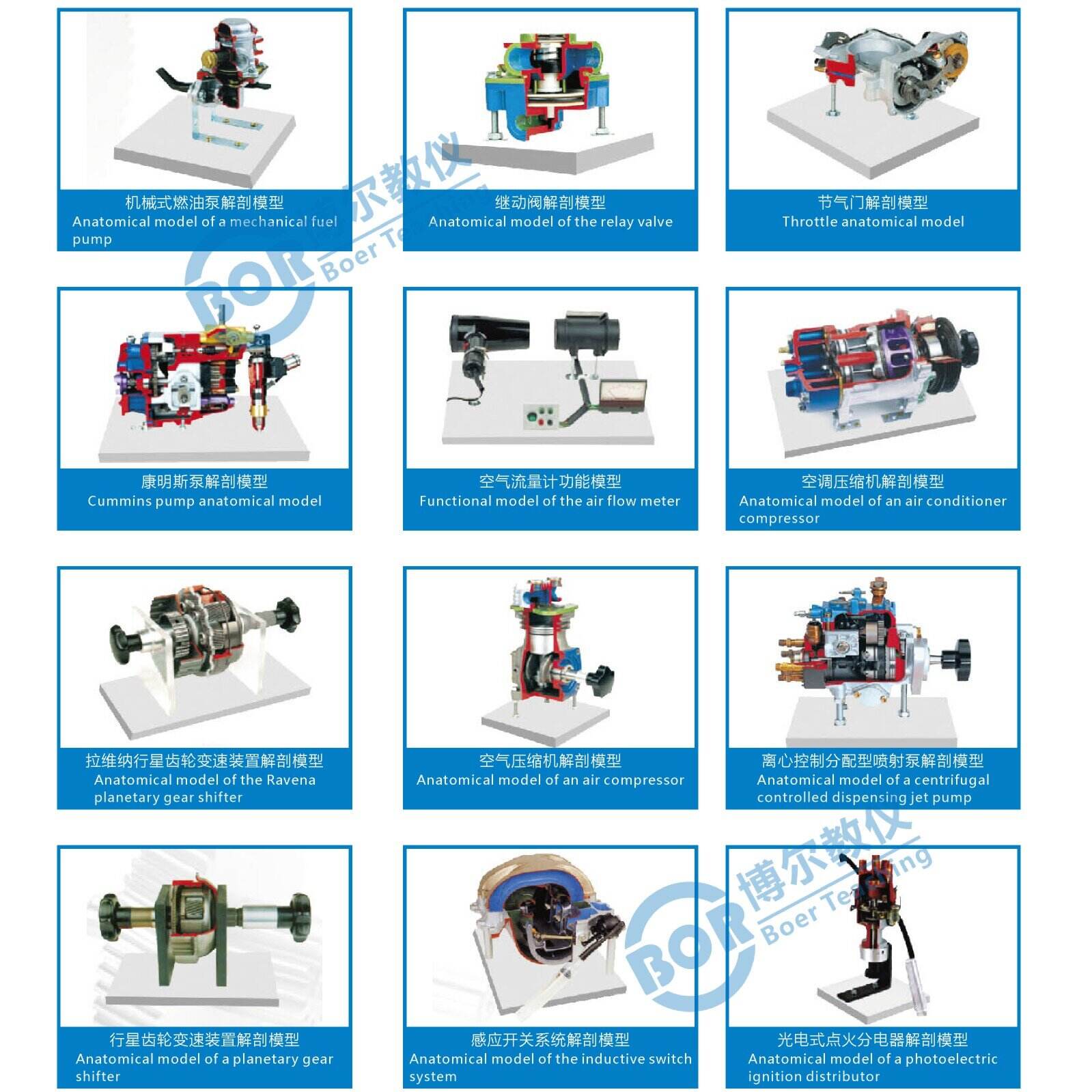 Anatomical part model