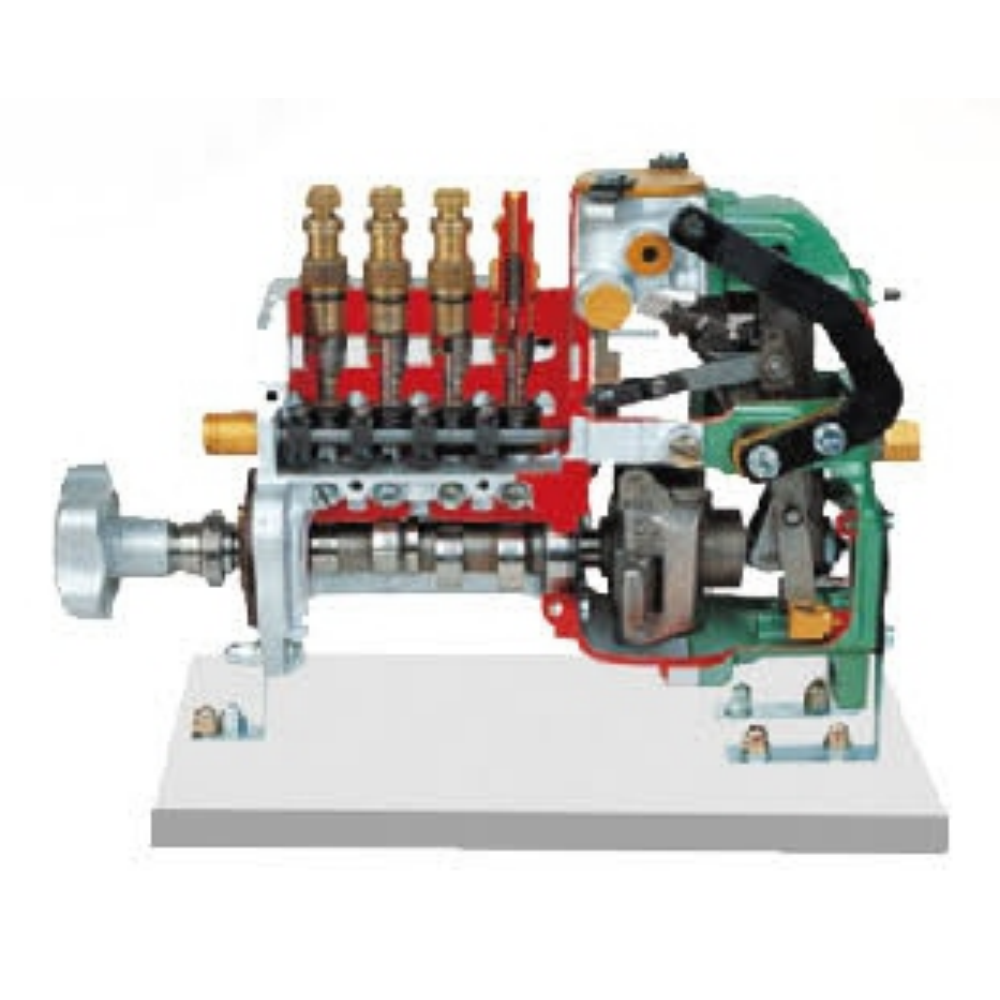 Inline injection pump anatomical model (RSV)