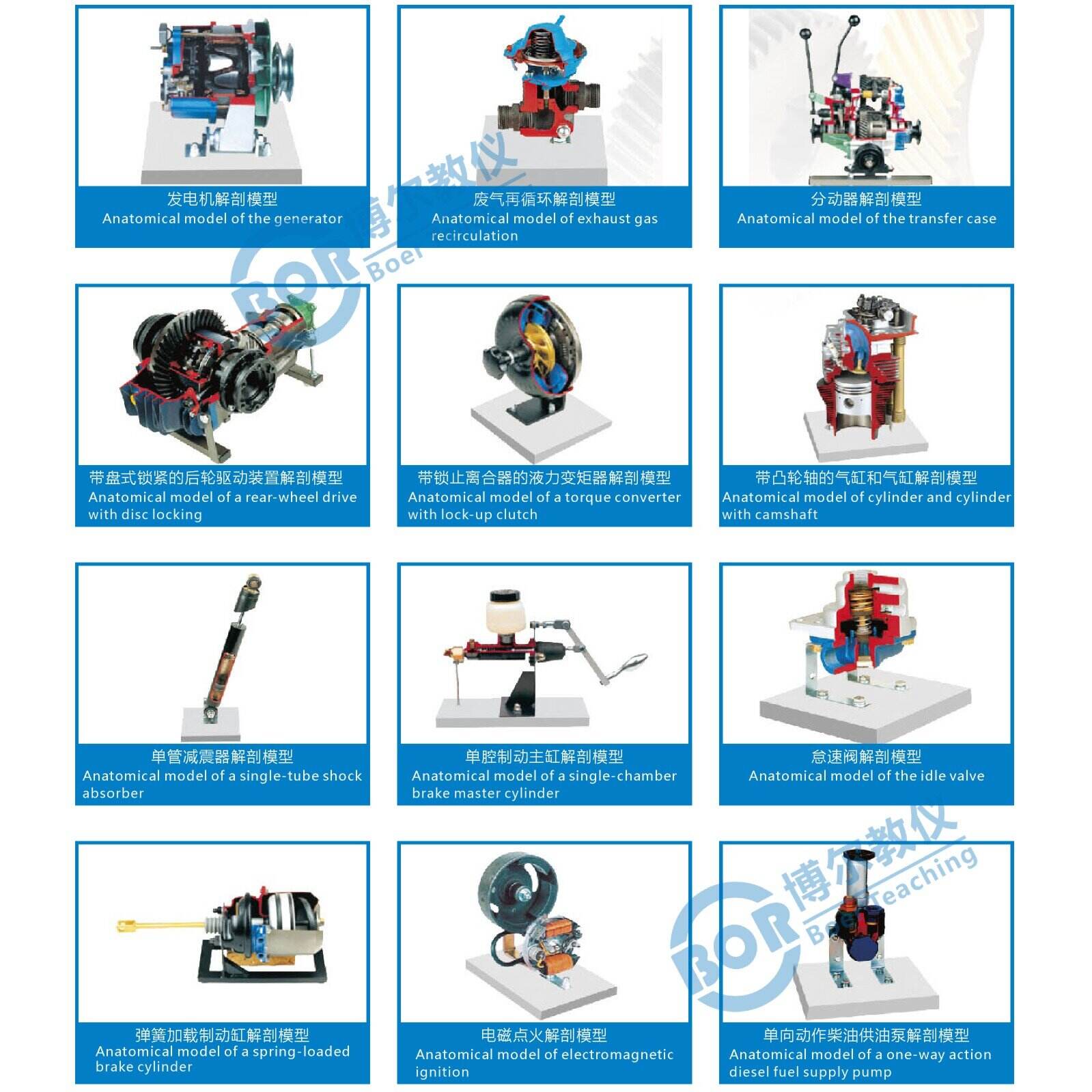 Anatomical part model