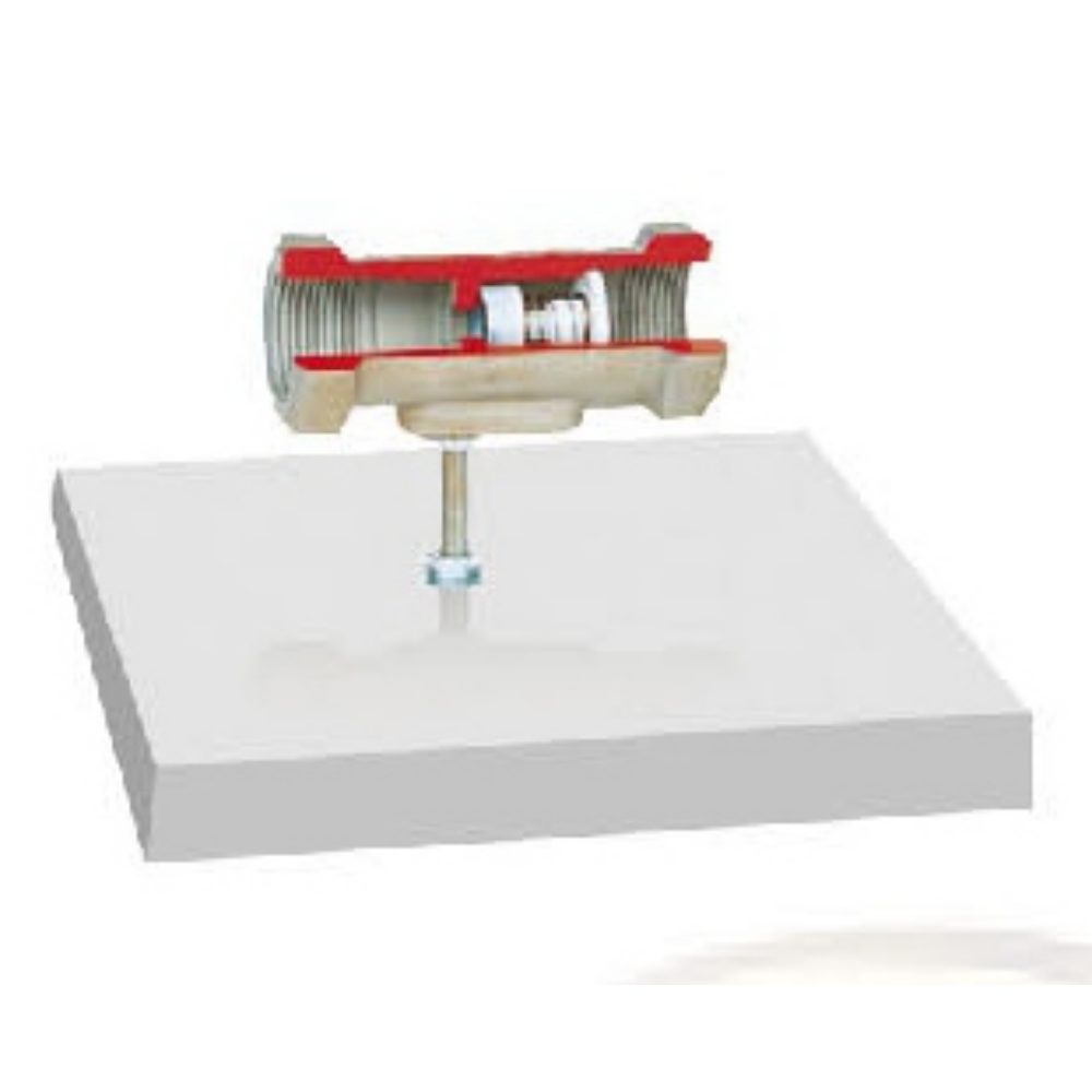 Modelo desmontado de válvula unidirecional