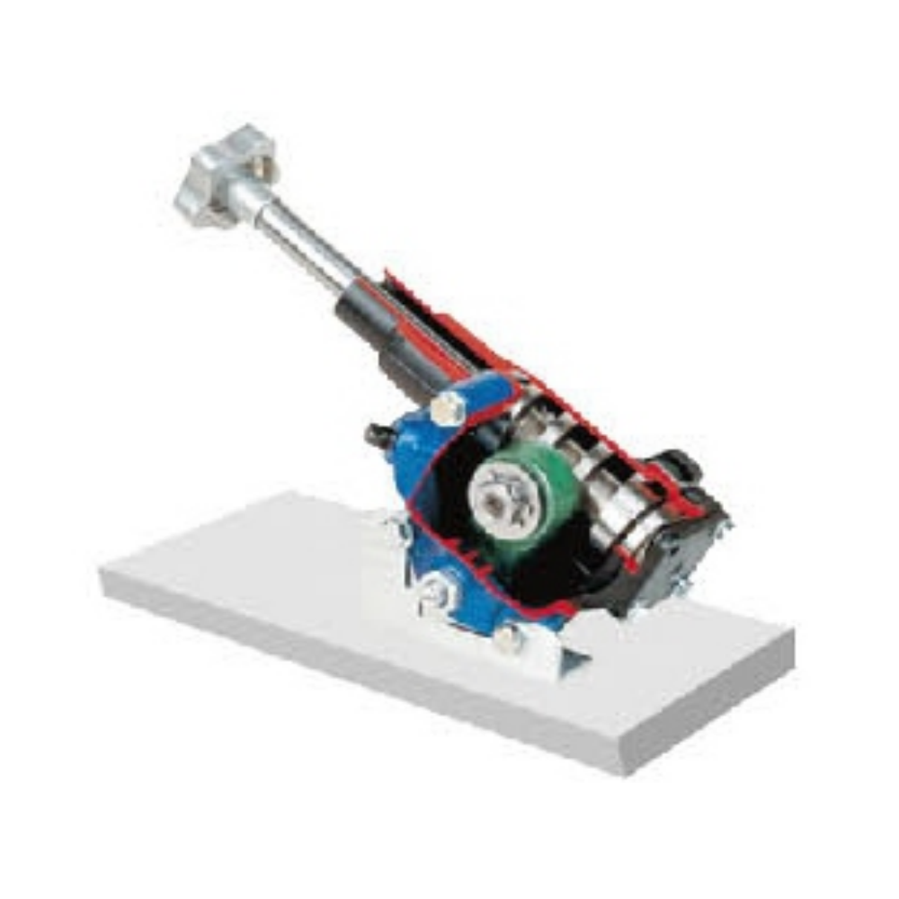 Finger steering gear anatomical model