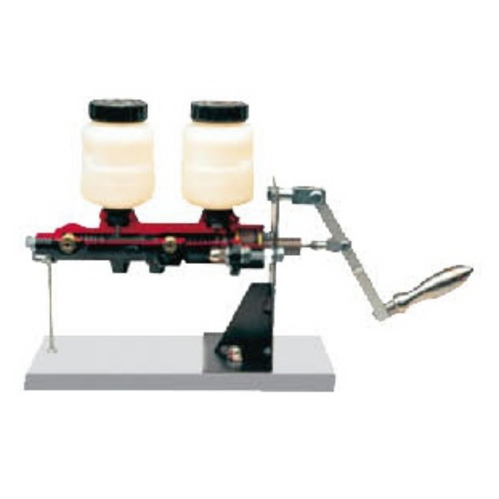 Dual-chamber brake master cylinder anatomical model