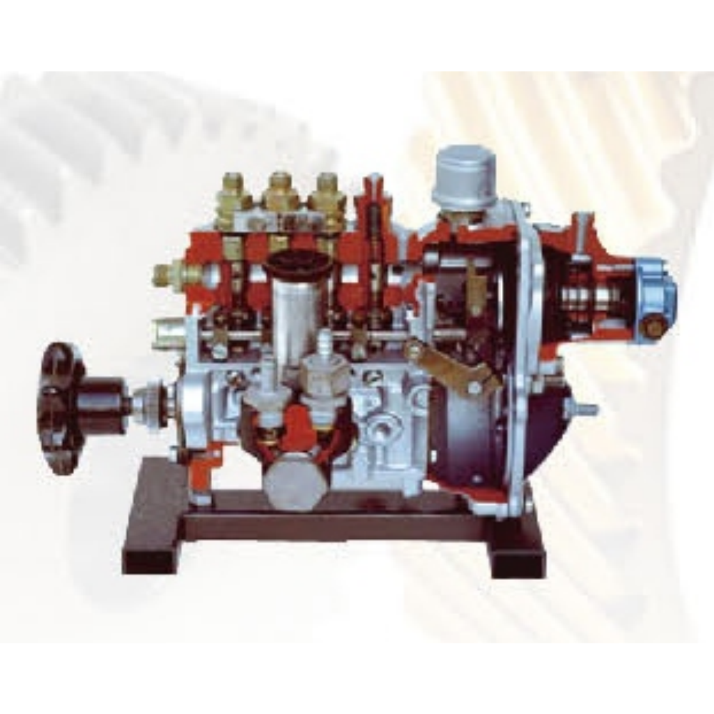 Vacuum-controlled injection pump anatomical model
