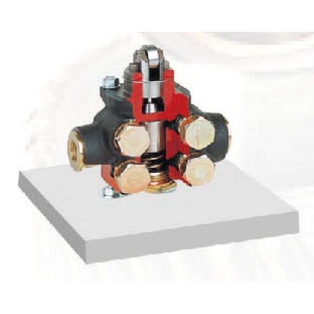 Bidirectional diesel fuel supply pump anatomical model