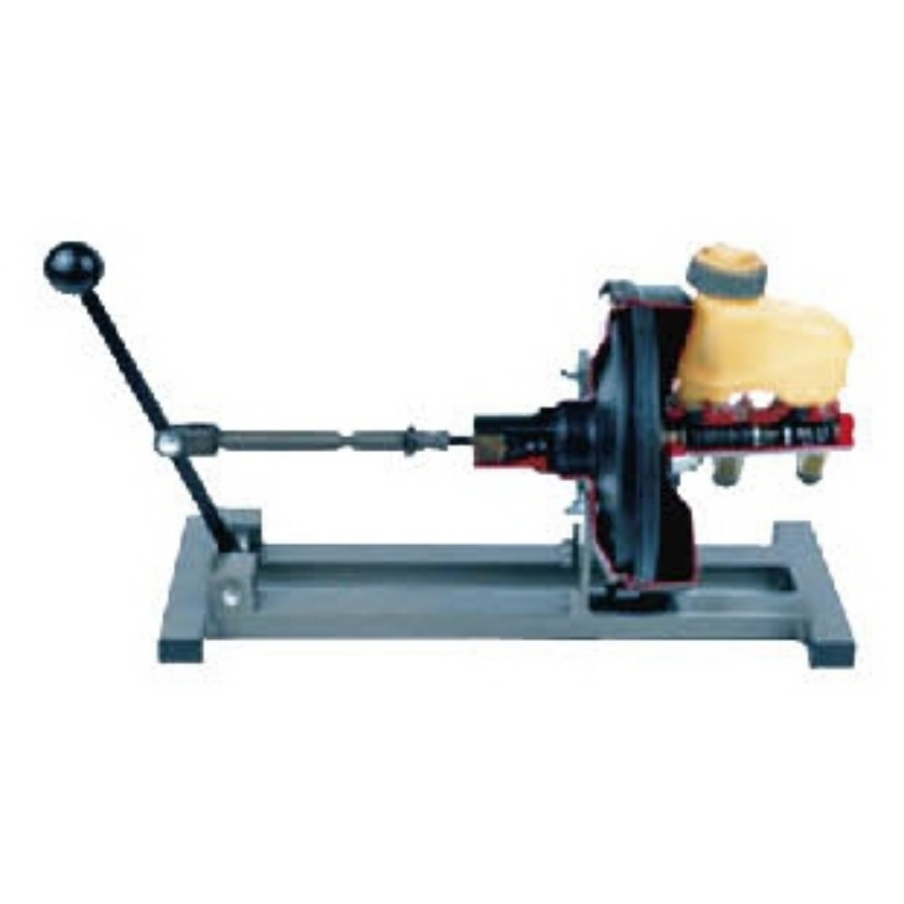 Air brake booster anatomical model