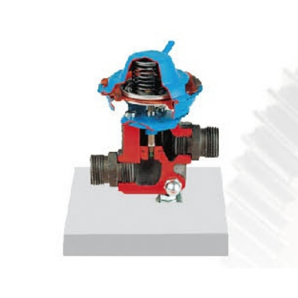 Modelo dissecado de recirculação de gases de escape