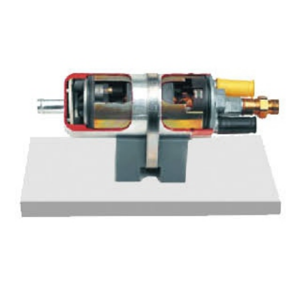 Modelo anatômico de uma bomba de combustível controlada eletronicamente