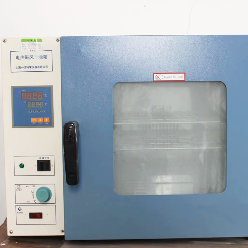 Electric Blast Drying Oven