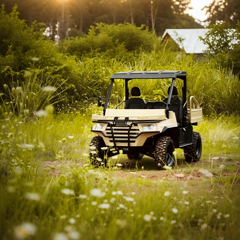 Find the perfect balance of durability, speed, and control in our top-quality quad bikes. 