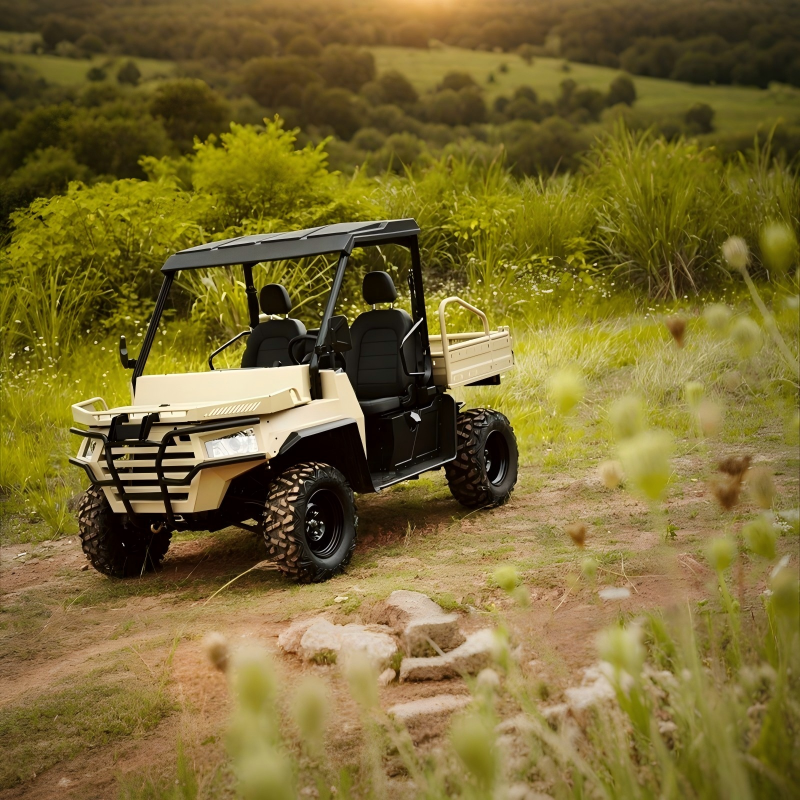 Get the best deals on top-rated UTV buggies