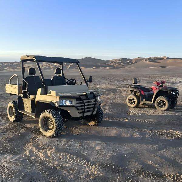 Explore our range of high-quality UTV buggies for sale