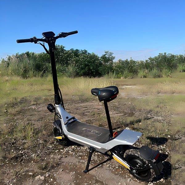 Experience the convenience and fun of riding an electric scooter designed for adults.